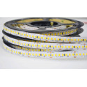 LED-nauha 24V 126LED - 1500lumen - 2835LED - neutralvalkoinen 4000-4500K - sisäkäyttöön