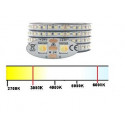 CCT Värilämpötila säädettävä - LED-nauha 24V/18W - 1500lumen - UUSI 3838LED - 3000K-6000K värilämpötila säädettävä